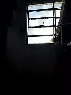 Snapshot of gatoalex89 chatting on 05/05/26, 11:40 gatoalex89 online show from 05/05/26, 11:40
