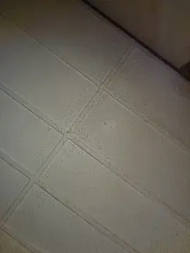 zaneporter46 online show from 10/31/25, 09:05