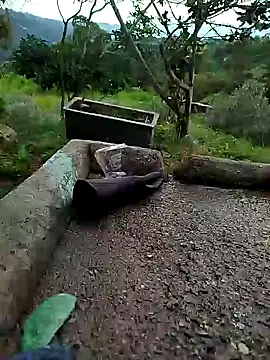 crazysex095 online show from 01/02/25, 08:46