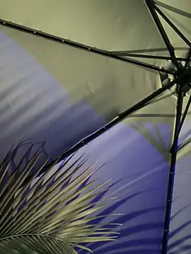 Snapshot of Mariapaula chatting on 03/07/25, 12:58 Mariapaula online show from 03/07/25, 12:58