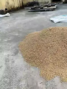 sweet suman online show from 01/18/25, 11:21