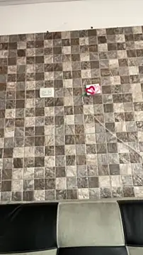 Sophia cyrus11 online show from 04/19/26, 05:56