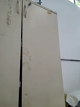 tesaodaweb online show from 02/21/26, 10:16