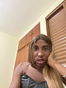 Celine trans01 online show from 12/27/24, 10:26