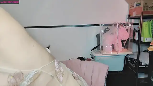 Snapshot of diandian-866 chatting on 02/20/25, 02:24 diandian-866 online show from 02/20/25, 02:24