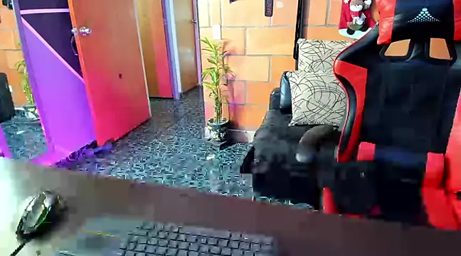 Snapshot of Adam_Valenciia chatting on 02/09/25, 02:29 Adam Valenciia online show from 02/09/25, 02:29