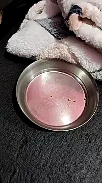 Snapshot of Whitehouse01 chatting on 01/13/25, 02:42 Whitehouse01 online show from 01/13/25, 02:42