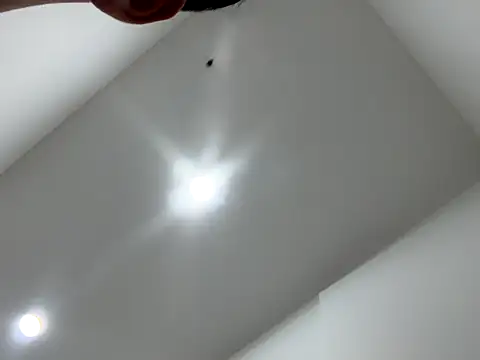 Sexocokin online show from 12/16/25, 01:16