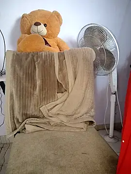 lovelygirl4567 online show from 11/10/25, 04:11