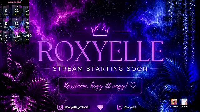 Snapshot of roxyyyrose chatting on 07/09/26, 09:19 roxyyyrose online show from 07/09/26, 09:19