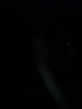 yanlizkurt01 online show from 07/13/26, 08:00