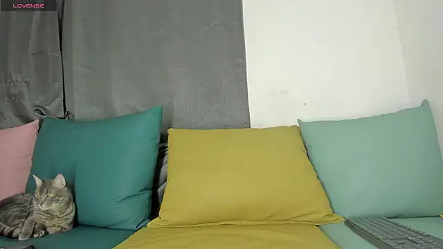 Snapshot of maison_sofia1 chatting on 01/07/25, 03:46 maison sofia1 online show from 01/07/25, 03:46