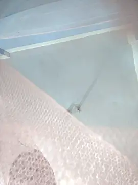 124pakhi online show from 01/12/26, 03:17