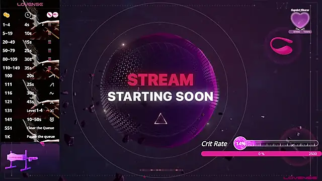 PrisBrayden online show from 01/13/25, 03:01