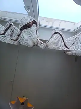 Snapshot of Lauren_Amabel chatting on 02/22/26, 08:24 Lauren Amabel online show from 02/22/26, 08:24