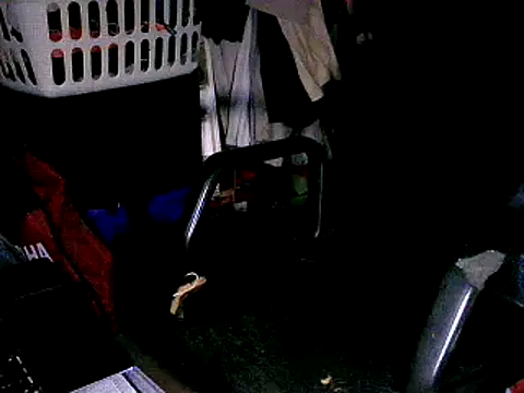 Snapshot of SergCarMX1 chatting on 10/06/25, 08:50 SergCarMX1 online show from 10/06/25, 08:50