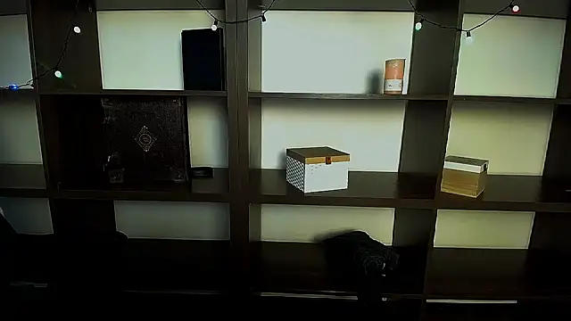 Snapshot of Lexi_Jous chatting on 02/11/25, 12:27 Lexi Jous online show from 02/11/25, 12:27