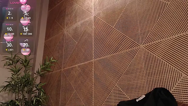 tim  fox online show from 02/17/26, 12:12