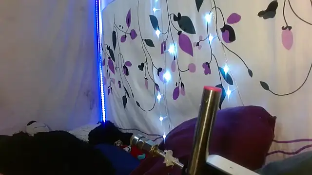 kattislut77 online show from 02/07/26, 07:50