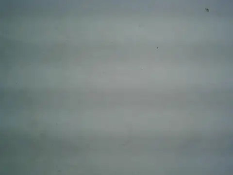 Snapshot of michel1520 chatting on 06/09/26, 04:35 michel1520 online show from 06/09/26, 04:35