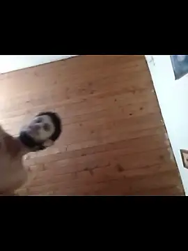 nxus77 online show from 12/15/25, 06:39