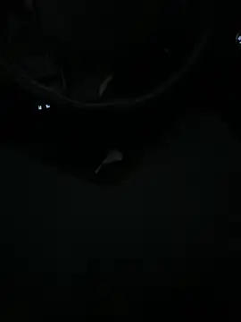 DutchPublic online show from 01/19/25, 04:36