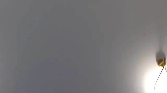 Snapshot of Lilliana_Moon chatting on 01/30/25, 01:42 Lilliana Moon online show from 01/30/25, 01:42