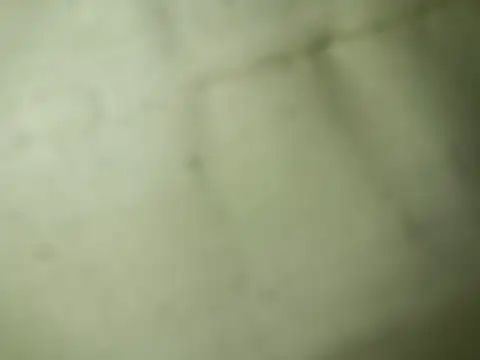 Ktosik88 online show from 01/18/26, 07:50