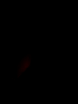 xxxxGuruxxxx online show from 03/10/25, 06:38