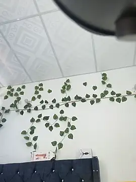 miaa--pervert online show from 01/15/25, 01:20