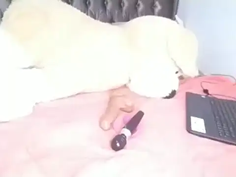 Chandy012 online show from 04/08/26, 06:13