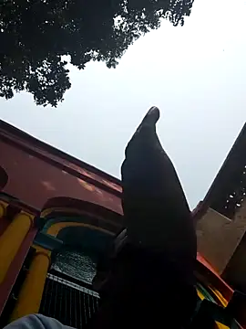 xx54362 online show from 03/01/25, 07:19