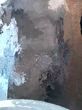 kreisbsb online show from 04/25/26, 12:13