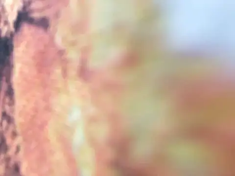 riri riri jp online show from 12/16/25, 10:09