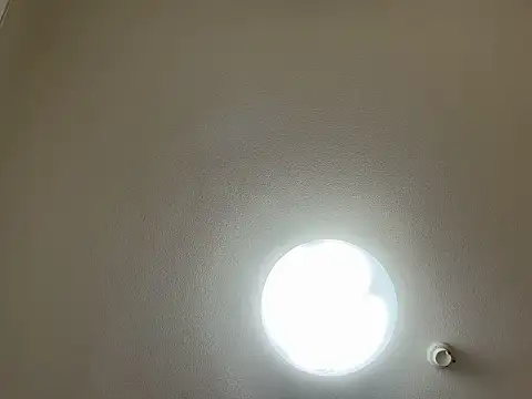 riri riri jp online show from 03/31/26, 11:43