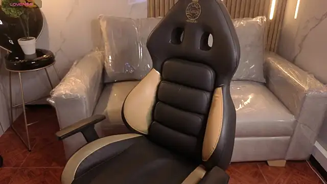 Kitten Cam online show from 02/20/26, 03:36