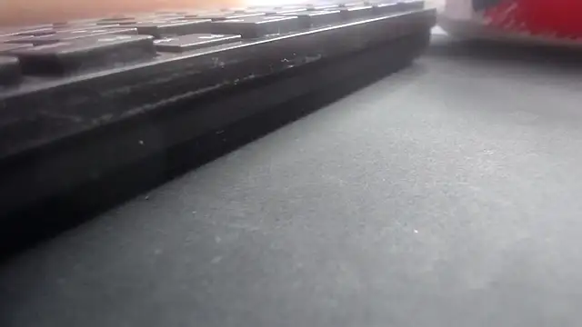 Kitten Cam online show from 04/29/26, 10:38