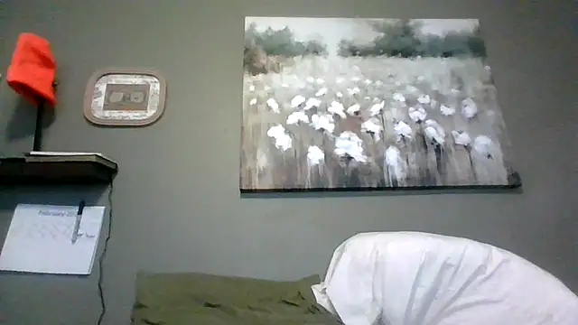 HarvryBlaze online show from 02/16/26, 12:29