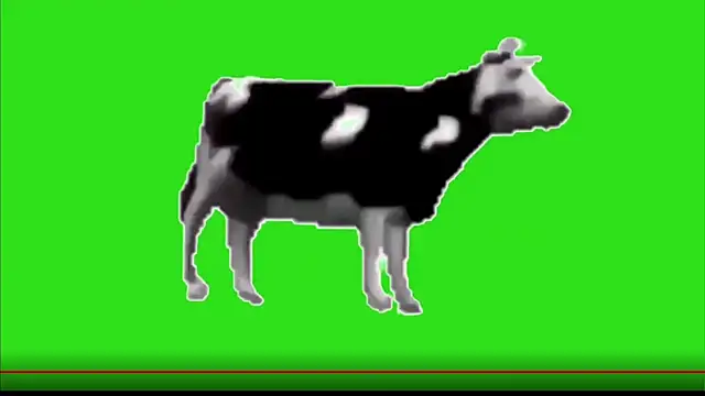 Snapshot of test_FramedTishri_m chatting on 05/13/26, 03:20 test FramedTishri m online show from 05/13/26, 03:20