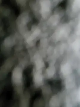 j0nathan00 online show from 02/10/25, 04:58