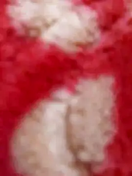 mhmia online show from 02/08/25, 05:29