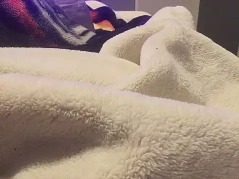 Snapshot of Pilote19 chatting on 01/06/26, 12:20 Pilote19 online show from 01/06/26, 12:20