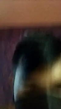 randit7 online show from 01/27/25, 02:42