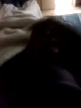 Sbu gold online show from 01/12/26, 07:24