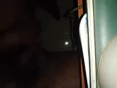 Snapshot of world_bigdick1 chatting on 02/14/25, 05:14 world bigdick1 online show from 02/14/25, 05:14