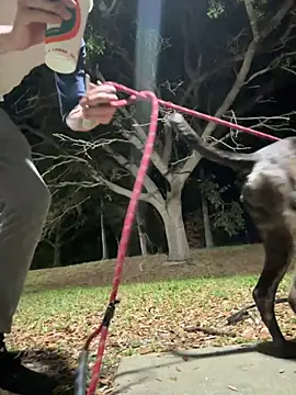 sexyhotstud12 online show from 02/18/25, 04:26