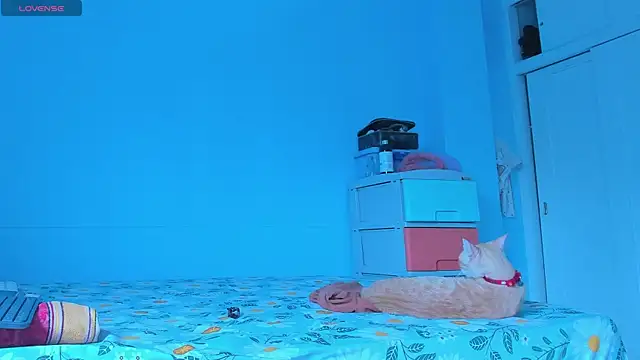 alice guzman1 online show from 04/29/26, 05:17