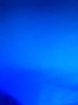 wadmma online show from 02/21/26, 11:39