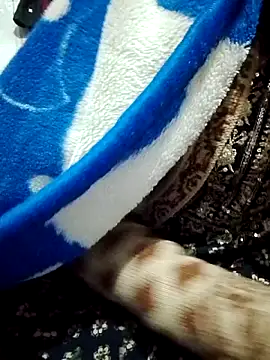 saaniya online show from 01/05/26, 07:17