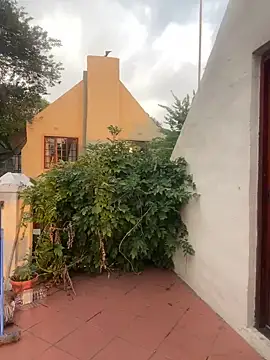 Snapshot of ZinaFreak chatting on 02/04/25, 04:29 ZinaFreak online show from 02/04/25, 04:29